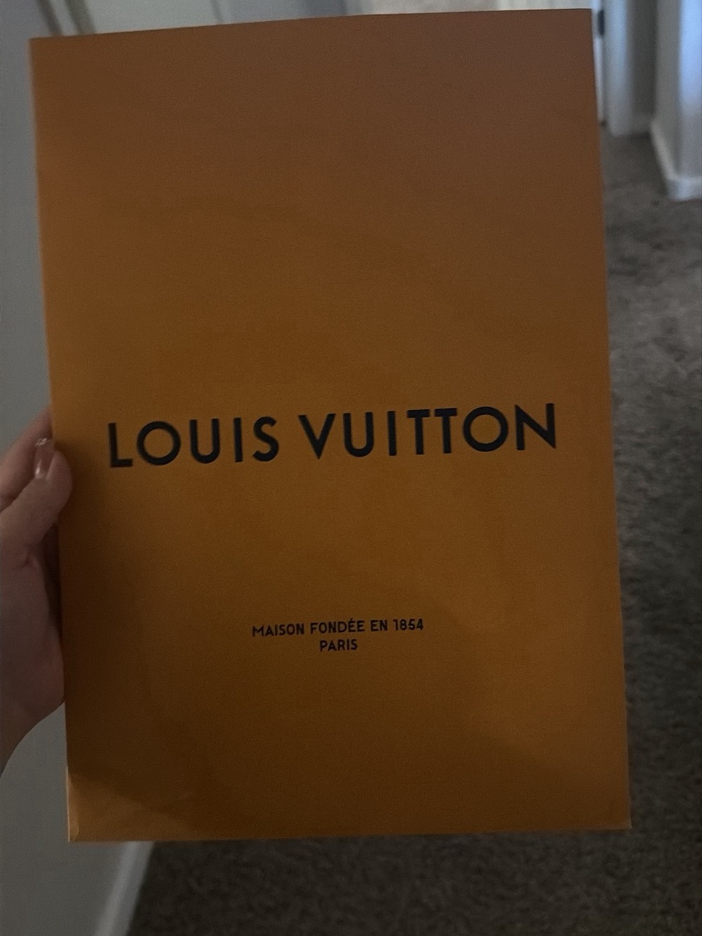 Louis Vuitton Orange Branded Gift Bag with Black Logo